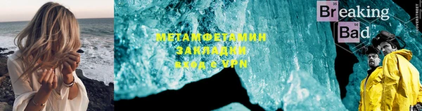 прущие грибы Новозыбков