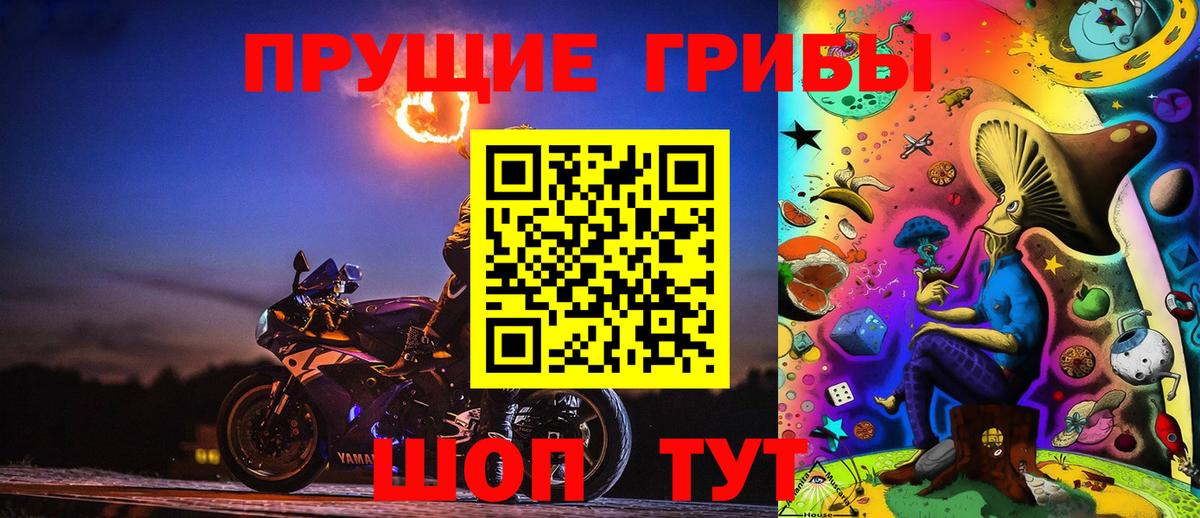 Псилоцибиновые грибы Psilocybine cubensis Краснодар